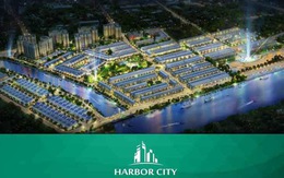 TP.HCM thanh tra việc cổ phần hóa, tăng vốn và thực hiện dự án cảng Phú Định