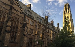 Bộ Tư pháp Mỹ cáo buộc ĐH Yale kỳ thị sinh viên gốc Á trong tuyển sinh