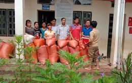 Bản Mông nghèo gom tiền, gạo, thóc cho giáo viên vùng lũ Điện Biên