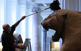 Bảo tàng Anh phủi bụi kho tàng hiện vật, chuẩn bị đón khách trở lại sau 163 ngày