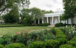 Vườn hồng Nhà Trắng của bà Melania Trump bị chê buồn chán