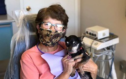 Gặp cô chó không răng chuyên an ủi bệnh nhân ở phòng nha