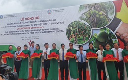 Có EVFTA, trái cây Việt Nam lợi thế hơn trái cây Thái Lan vào EU