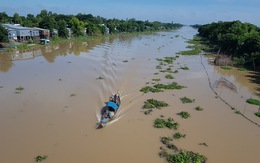 Đồng bằng sông Cửu Long có mùa lũ thấp nhất trong 10 năm qua?
