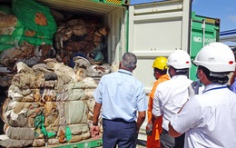 Sri Lanka trả lại Anh 21 container rác thải độc hại nhập trái phép