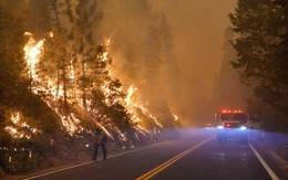 Tất cả rừng quốc gia ở California đã đóng cửa vì cháy