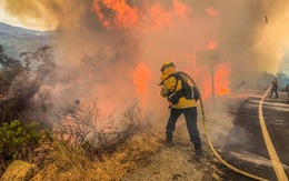 80% nhà cửa một thị trấn Mỹ bị lửa cháy rừng thiêu rụi