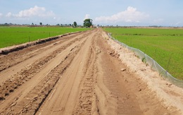 Cho chính quyền 'mượn đất' mở đường giữa đồng lúa giúp dân vùng sạt lở đi lại