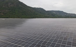 Tập đoàn Sao Mai: Điểm đến ấn tượng từ điện mặt trời