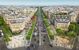 Paris triển khai dự án 'phủ xanh' đại lộ Champs-Elysees