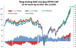 Quỹ mở DFVN - 'quả ngọt' năm 2020