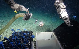 Siêu vi khuẩn dưới biển sâu – 'Chìa khóa' đối phó với các đại dịch tương lai