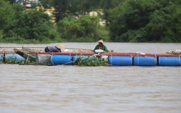 Bắc Trung Bộ cấp tập chống bão số 8, hỗ trợ người dân trên đường hồi hương