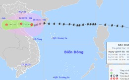 Bão số 8 đã vào biển phía Bắc Việt Nam, gió giật cấp 11, sẽ suy yếu thành áp thấp nhiệt đới