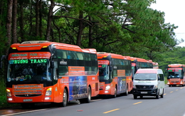 Phú Yên, Đắk Nông nối lại vận tải hành khách với một số tỉnh, thành