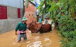 Nước sông dâng nhanh, người dân Quảng Nam tất bật chạy tránh lũ