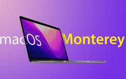 Làm sao tải, cài đặt HĐH mới MacOS Monterey phát hành ngày 25-10?