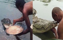 Cá sấu ‘quy y' trong đền Ấn Độ, ăn chay suốt 70 năm