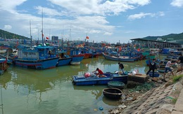 Giá xăng dầu tăng cao, tàu cá nằm bờ