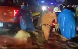 CSGT và tình nguyện viên đẩy xe giúp đoàn người về quê qua dòng nước chảy xiết