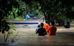 Bang giàu có nhất Malaysia bị mưa lũ nhấn chìm