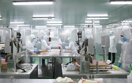 Đem tiêu chuẩn bánh Nhật đến thị trường bánh Việt Nam
