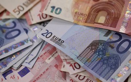 Sau 20 năm 'chung sống' nhiều người dân châu Âu vẫn 'ghét' đồng euro