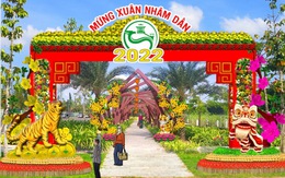 Cần Thơ: Không làm đường hoa nghệ thuật xuân Nhâm Dần