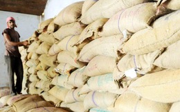 Châu Á thay đổi phương thức vận chuyển gạo xuất khẩu do khan hiếm container
