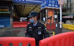 Báo Anh tung báo cáo nội bộ của WHO: Trung Quốc 'không có gì' về ngày đầu chống dịch
