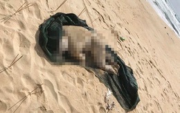 Một thi thể đang phân hủy trôi dạt vào bãi biển Bình Định