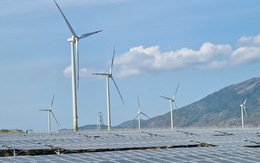 Bộ Công thương: Cắt giảm điện tái tạo là 'bắt buộc', không phân biệt nhà đầu tư