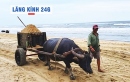 Lăng kính 24g: Nghề cầm ‘vô lăng dây’ có một không hai ở Việt Nam