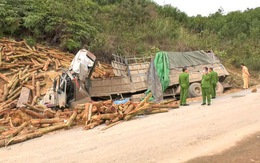 Kiểm tra doanh nghiệp có xe chở gỗ bị tai nạn làm 7 người chết ở Thanh Hóa