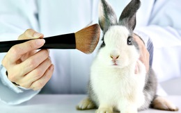 'Làn sóng’ cấm thử nghiệm mỹ phẩm trên động vật