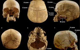 Giải mã bí ẩn về hộp sọ người trong hang sâu