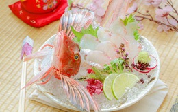 Houbou - Loài cá mùa xuân của giới thượng lưu Nhật Bản