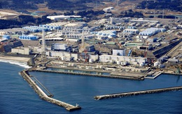 Nhật tuyên bố xả nước thải hạt nhân, Trung - Hàn phản ứng gắt