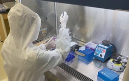 Công nghệ mới phát hiện hơn 100 biến thể virus SARS-CoV-2 trong 1 xét nghiệm