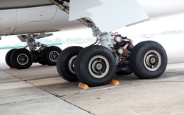 Máy bay Airbus A321 bị vỡ ống dầu phanh vì va phải chim