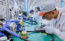 Doanh nghiệp Việt tranh nhau gom chip, ứng phó 'cơn sốt chip' toàn cầu