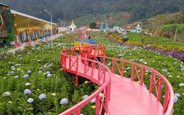 Lâm Đồng cấm kinh doanh lưu trú tại điểm du lịch canh nông