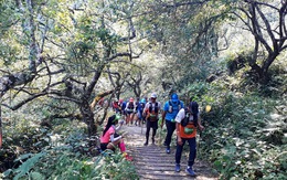 Cho con 9 tuổi đi theo chạy 42km trên núi Mộc Châu, một VĐV bị cộng đồng phản ứng