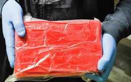 Hong Kong bắt 700kg cocaine nhập vào bằng tàu cao tốc