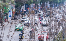 Hà Nội bỏ toàn bộ hàng phong lá đỏ trên đường Nguyễn Chí Thanh