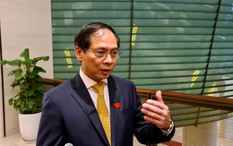 Tân Bộ trưởng Bộ Ngoại giao Bùi Thanh Sơn: 'Đột phá mở đường vào các thị trường khác nhau'