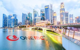 One IBC: Quy trình thành lập công ty tại Singapore nhanh chóng, hiệu quả