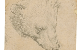 Phác họa đầu gấu của Leonardo da Vinci dự kiến bán 16 triệu USD