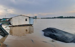 Sà lan chở 27 container đâm chìm bè cá trắm cỏ chuẩn bị thu hoạch