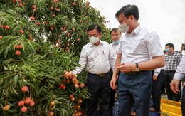 Bộ trưởng Lê Minh Hoan bàn cách tiêu thụ nông sản mùa đại dịch